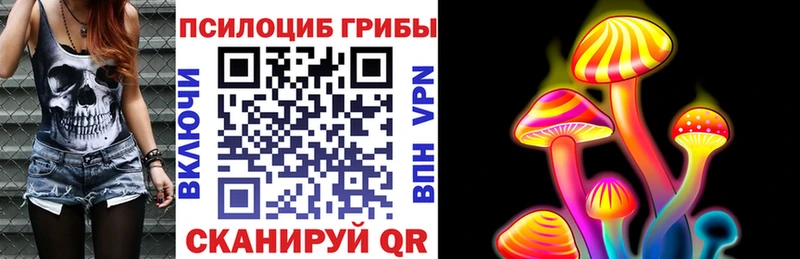 Галлюциногенные грибы Magic Shrooms  Купить где  Сураж 